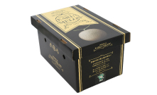 プレミアム（極）